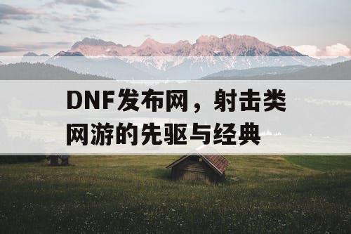 DNF发布网，射击类网游的先驱与经典