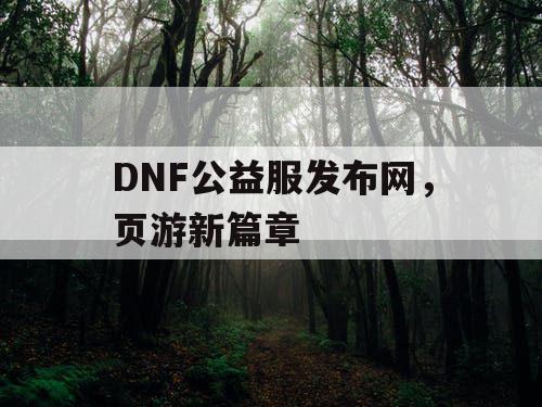 DNF公益服发布网，页游新篇章