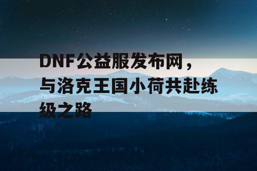 DNF公益服发布网，与洛克王国小荷共赴练级之路