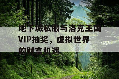 地下城私服与洛克王国VIP抽奖，虚拟世界的财富机遇